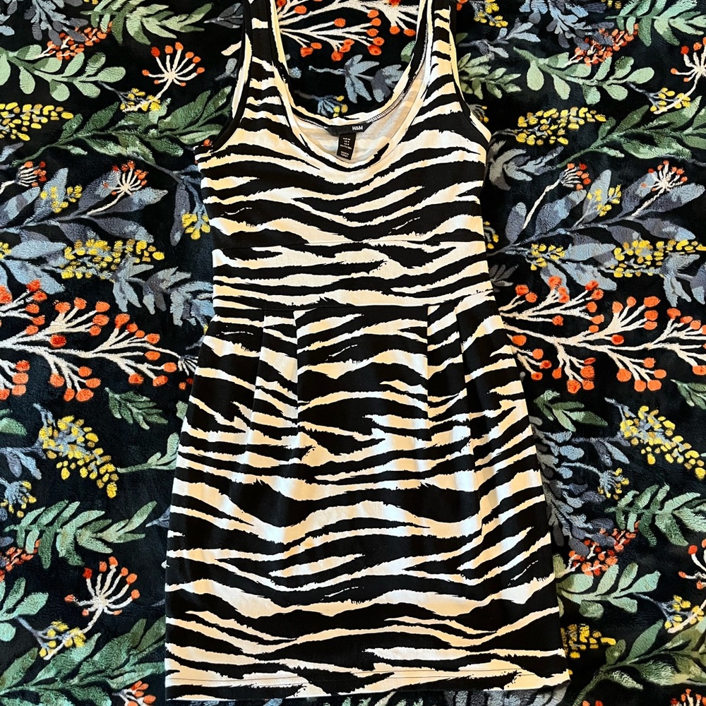 Zebra h&m dress